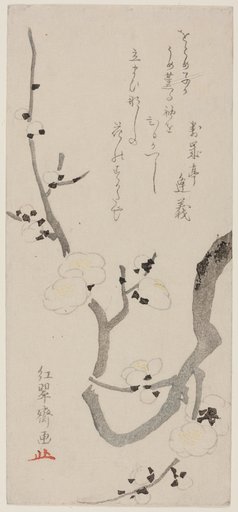 Plum Branch