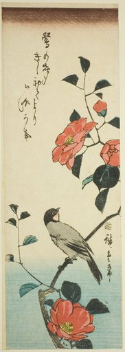 Camellia flowers and bullfinch