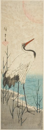 Crane and sun