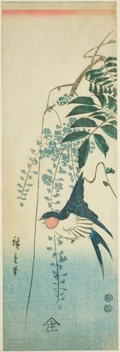 Swallow and wisteria