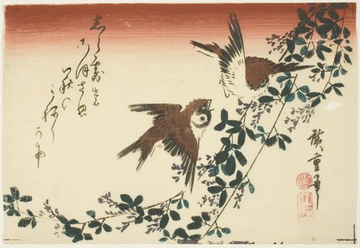 Sparrows and bush clover