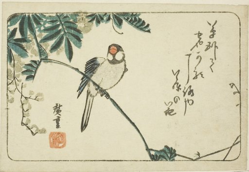 Sparrow and wisteria