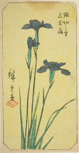Iris at Horikiri Village (Horikiri no sato hanashobu), section of a sheet from the series "Cutout Pictures of Famous Places in Edo (Edo meisho harimaze zue)"