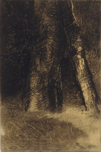 Sketch of Trees