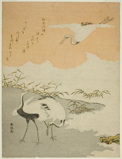 Cranes at the Sea Shore