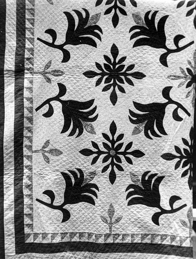 Bedcover (Poinsetta or Flower of Christmas Quilt)