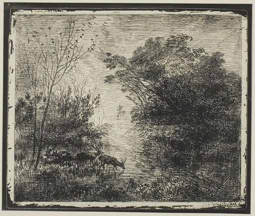 Stags
