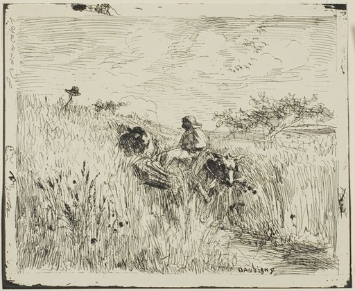 Path Through the Wheatfield