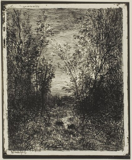 Brook in the Clearing