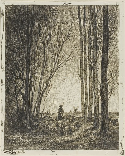 Return of the Flock