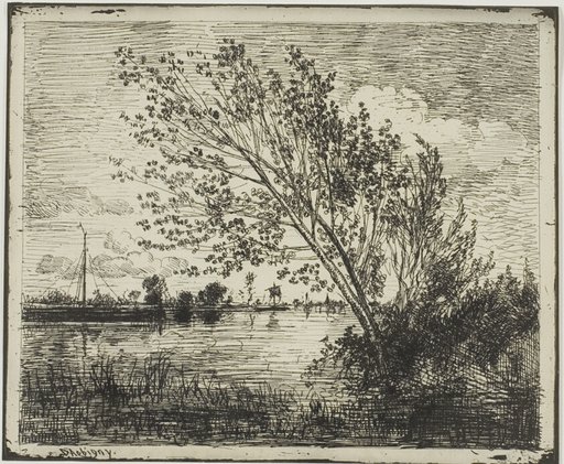 Clump of Alder Trees