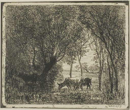 Cows in a Wood