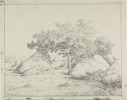 Cherry Tree at Plante à Biau