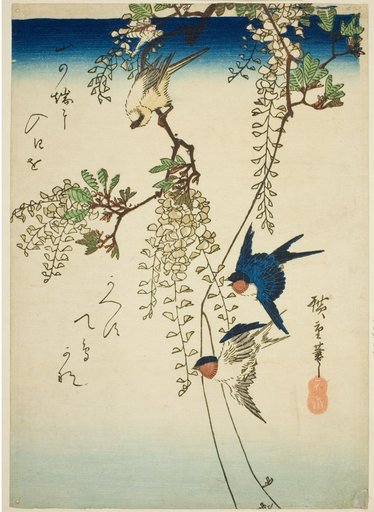 Swallow, yellow bird, and wisteria