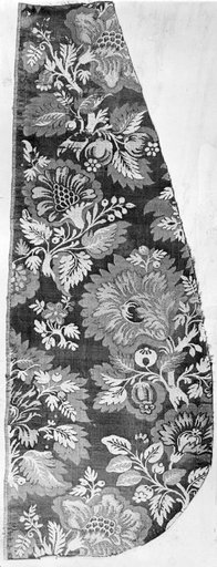 Fragment