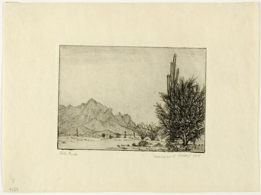 Palo Verde