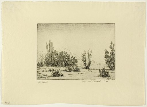 The Desert