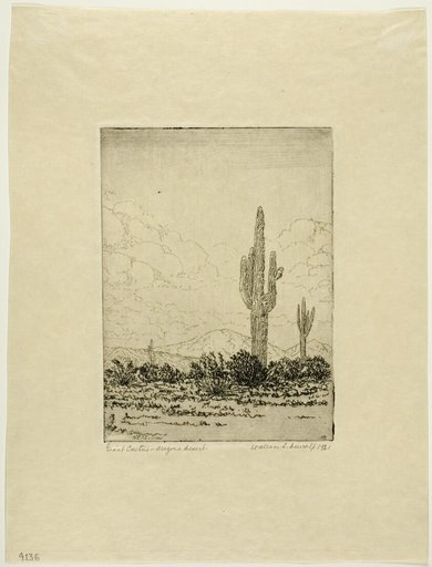 Giant Cactus, Arizona Desert