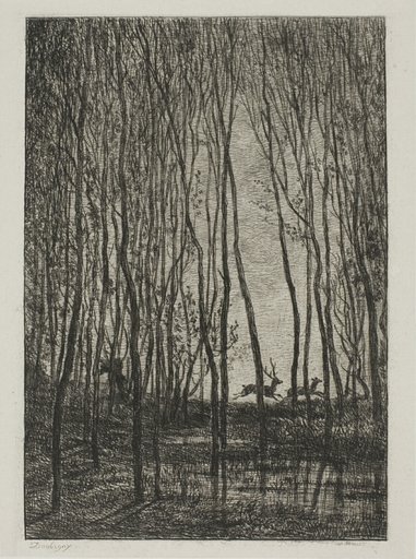 Stags in the Woods