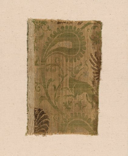 Fragment