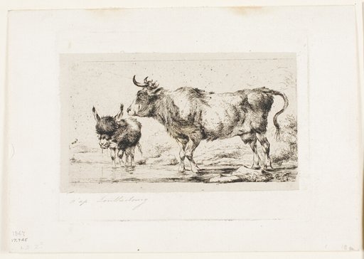 The Cow and Ass