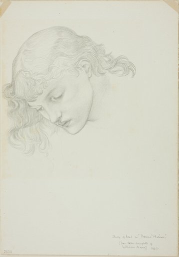 Head, Study for Mirror of Venus