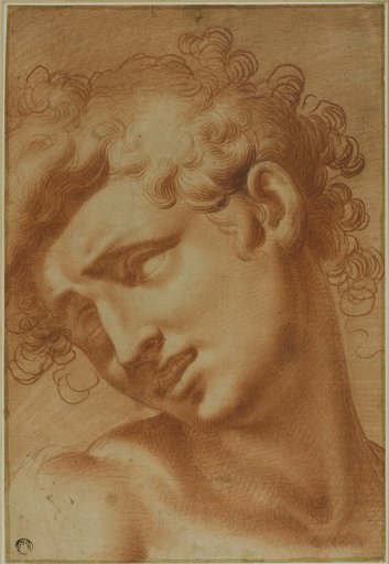 Head of a Youth