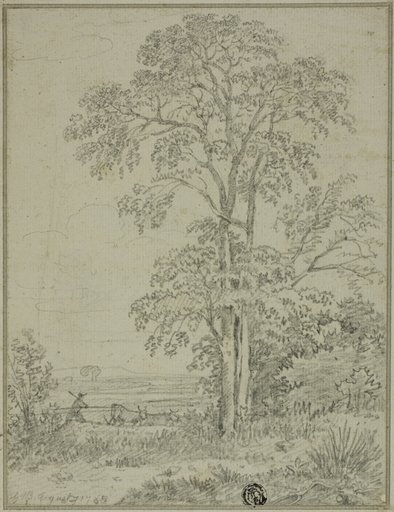 Landscape with Tree, Man, and Cows