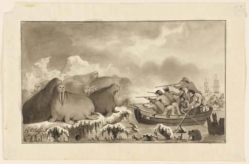 Walrus Hunt