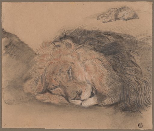 Lion's Head and Sketch of a Lion