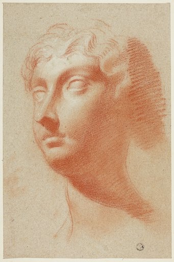 Female Head