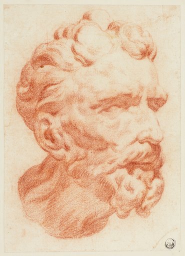 Head of Bearded Man in Three-Quarter Profile to Right
