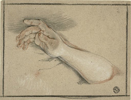Hand and Forearm