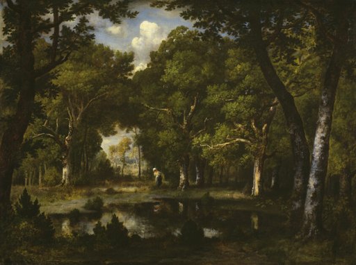 Pond in the Woods