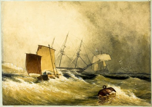 Marine Scene