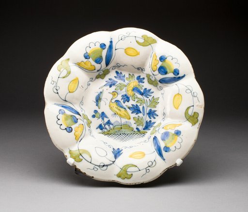 Dish