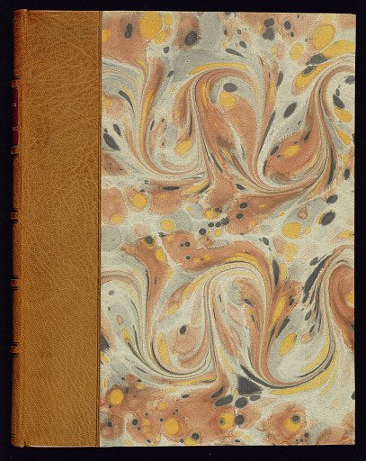 Album of Arabesque Panel Designs