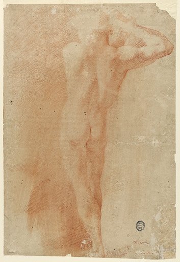 Nudes