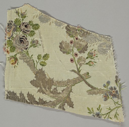 Fragment