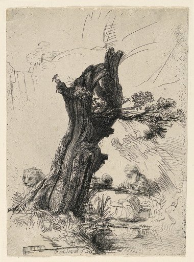 Saint Jerome Beside a Pollard Willow