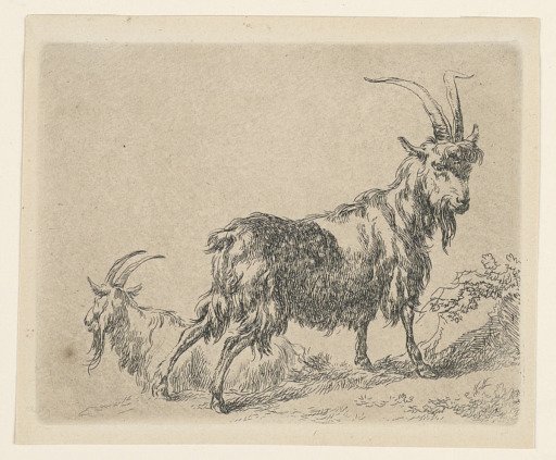 Two Goats, from Berchem's "Animalia" (Animals) [ Animalia ad vivum delineata et aqua forti aeri impressa Studio et Arte Nicolai Berchem]