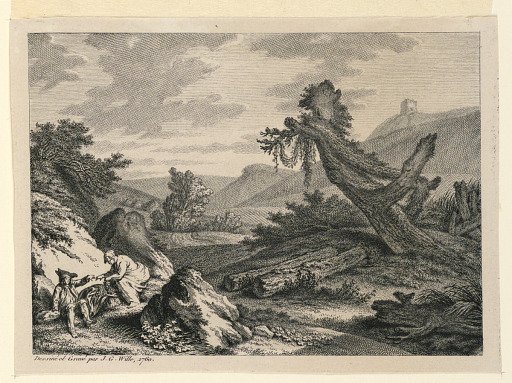 The Picnic