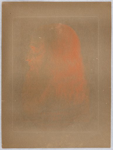 Self-Portrait of Leonardo da Vinci, from "Original Designs of the Most Celibrated Mastesr of the Bolognese, Roman, Florentine, and Venetian Schools, in his Majesty's Collection"
