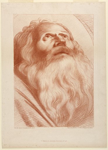 Old Man's Head