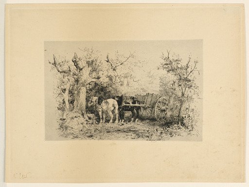In the Woods