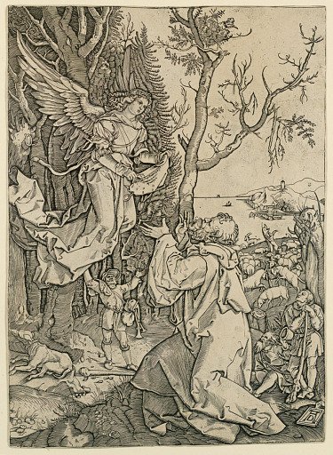 Angel Appearing to Joachim