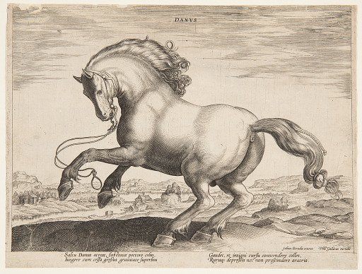 A Danish Horse, from the fourth set of "Equile Joannis Austriaci"