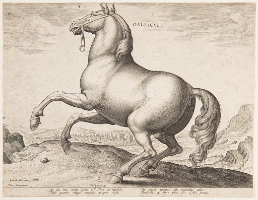 A French Horse, from the first set of "Equile Joannis Austriaci"