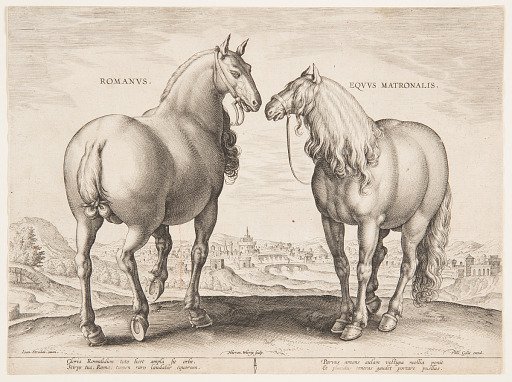 A Roman Horse, from the first set of "Equile Joannis Austriaci"