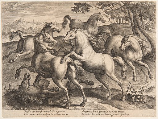 Fighting Horses, from the fourth set of "Equile Joannis Austriaci"